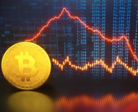 starlight stake market - Become a Trading Expert with starlight stake market